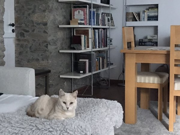 THE OLD STONE HOUSE — снимка 6