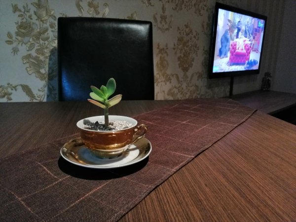 Niki Apartment — фотографија 4