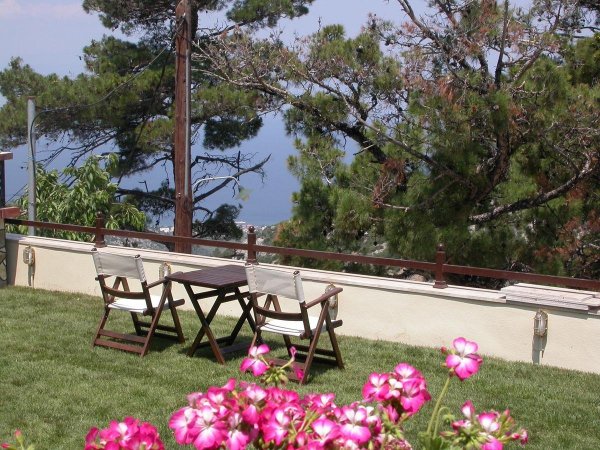 Cedar — фотографија 6
