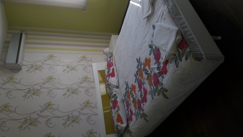 Apartment Ivet