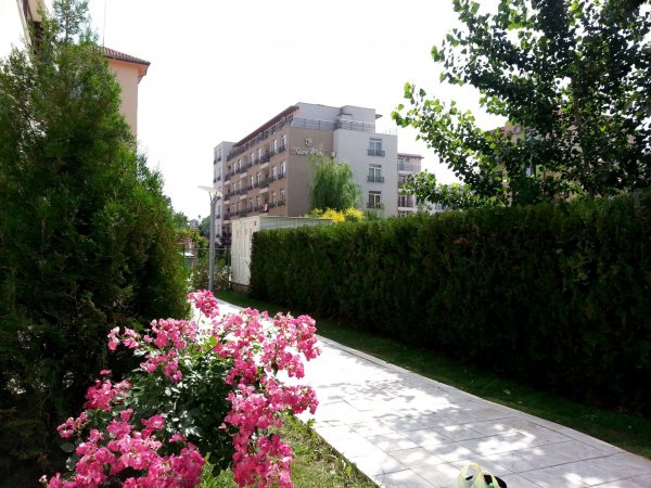 EDEN * MENADA Apartments * studio pool view — foto 6