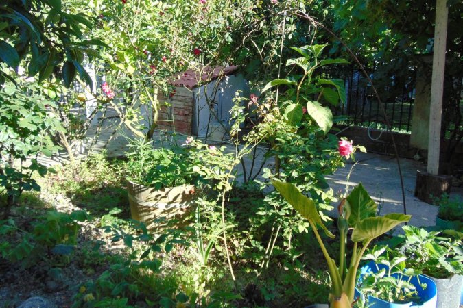 two serene, secluded studios for 4 to 6 persons 150 meters from the beach — foto 2