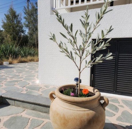 VILLA SIESTA в Кавала ГЪРЦИЯ — снимка 5