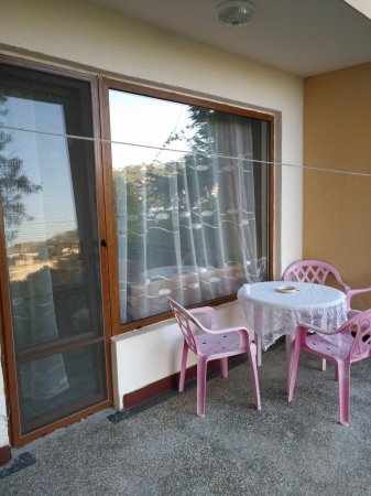 СТАЯ 1 — foto 3