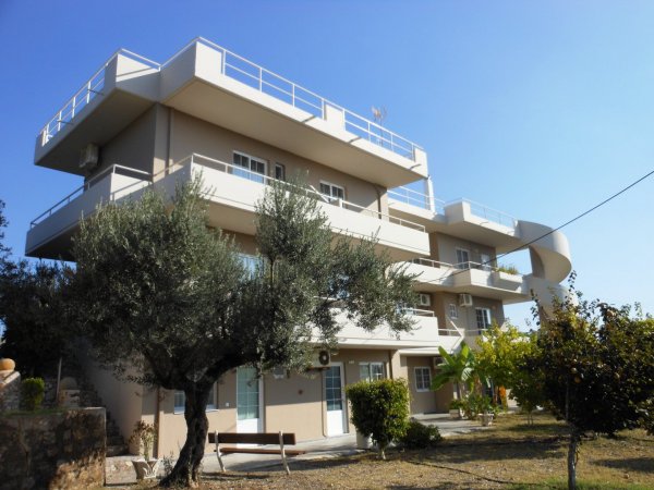 Villa Olive Grove — foto 2