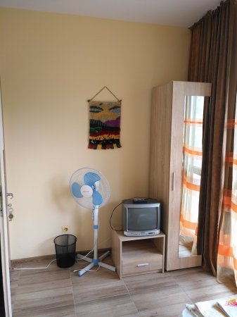 СТАЯ 2 — foto 3
