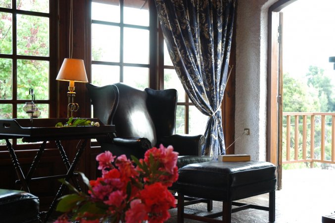 Villa Amalthea in pinewood hill with sea view — снимка 6