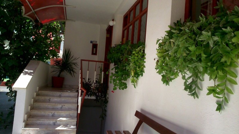 Lebed — фотографија 4