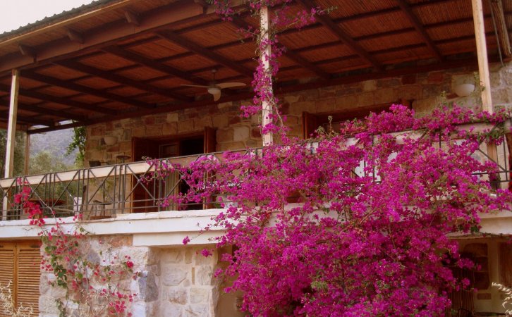 CHARMING COUNTRY COTTAGE BY TH SEA — foto 1