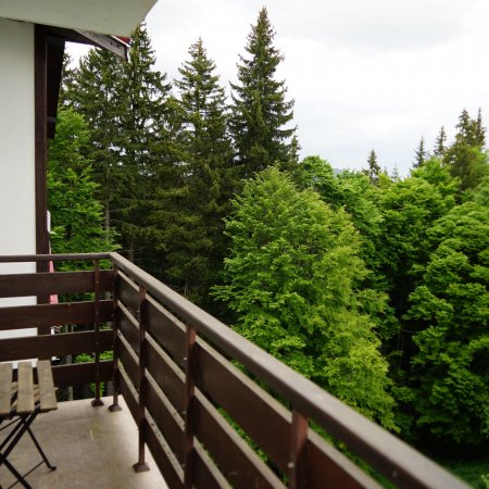 Guest apartment in Pamporovo