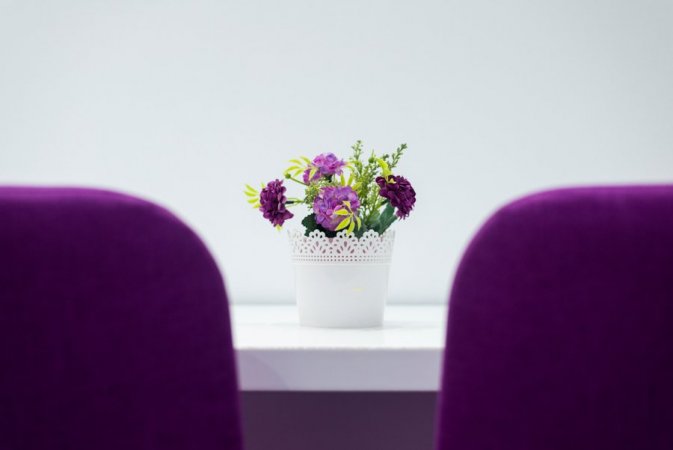 Amaryllis — снимка 6