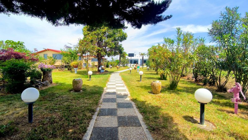 Twin Suites in Oasis — снимка 6