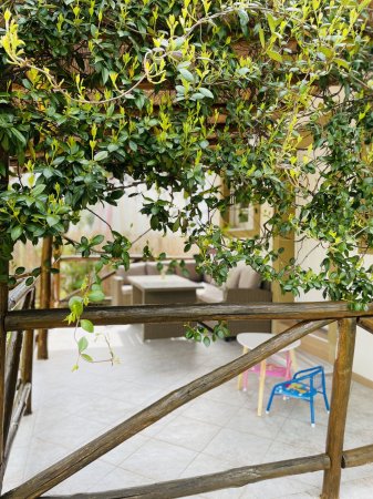 Villa Paralia Vrasna — foto 3