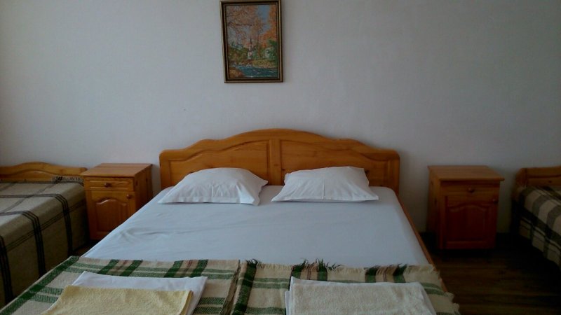 Lebed — фотографија 3