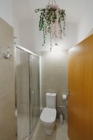 Odysseas Suite ( Stellatos House ) — foto 5