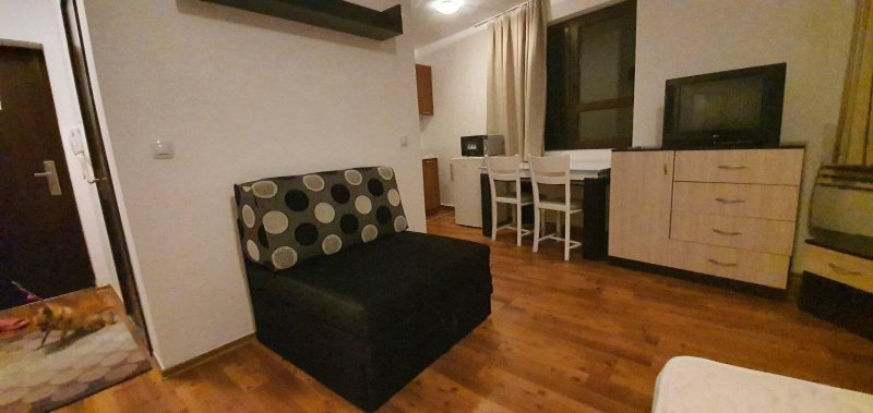 Cozy  studio in Bansko