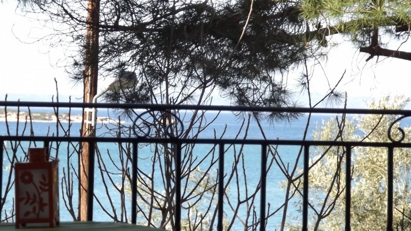 Apartment PEFKA — фотографија 4