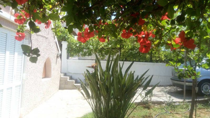 Villa Golden Sea Chania — снимка 4