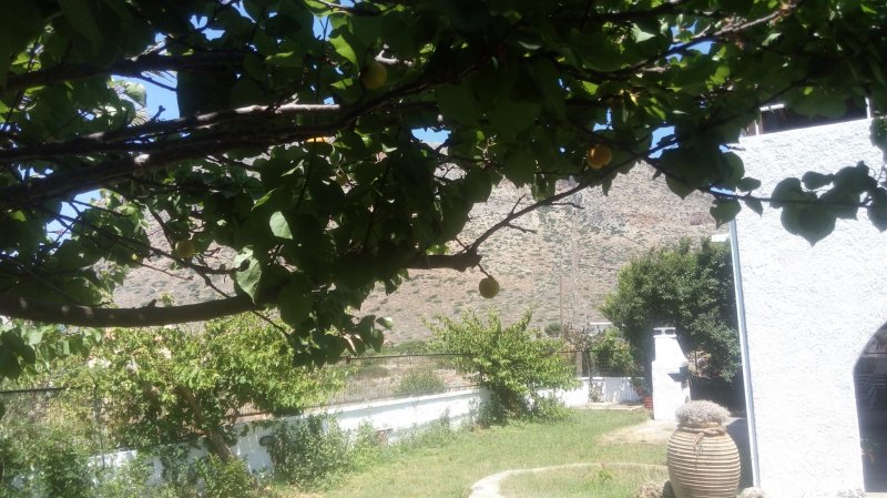 Villa Golden Sea Chania — снимка 5