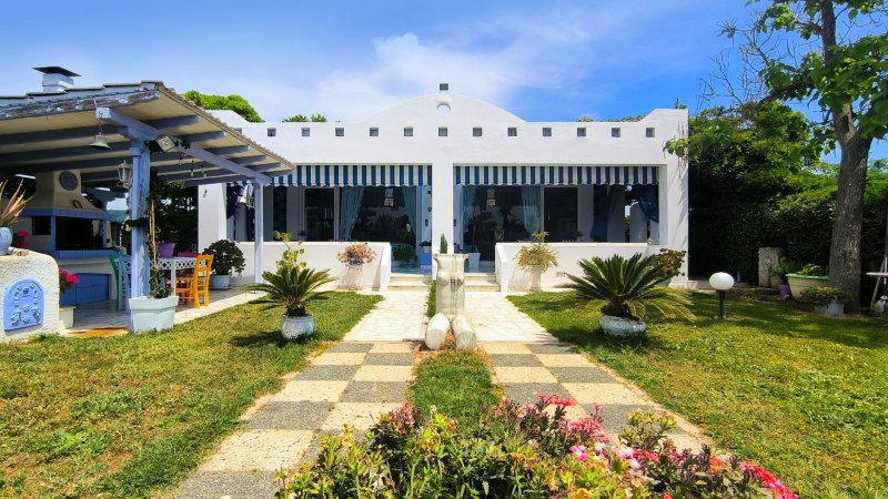 Twin Suites in Oasis