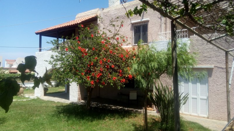 Villa Golden Sea Chania — снимка 2