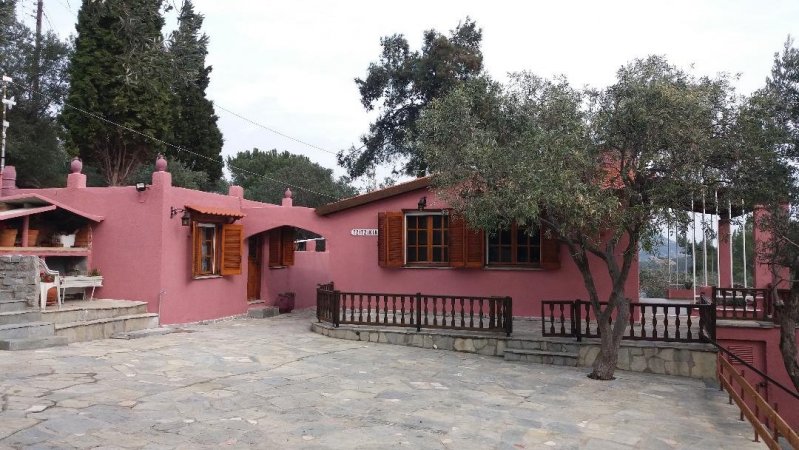 Our House 2 / Olive House — снимка 5
