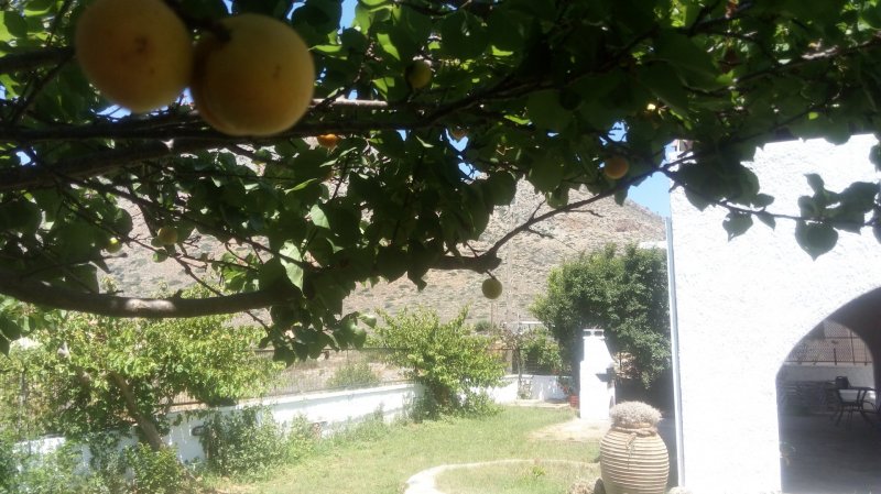 Villa Golden Sea Chania — снимка 6