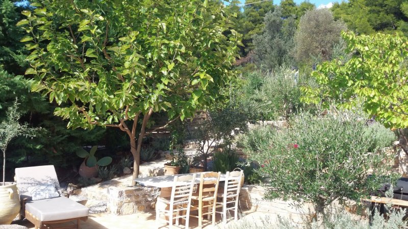 Rent a villa in Evia Island Greece with private pool only 99km from Athens sleeps 7prs. — фотографија 5