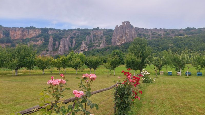 Guest House "Na Iskara" — foto 5