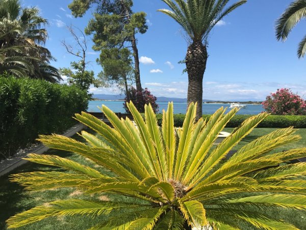 Samaya Beach House — foto 2