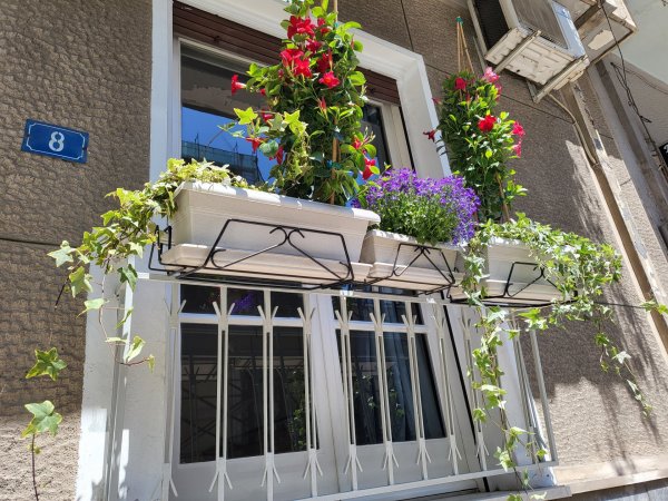 Athens  Hause  by Hause 2 — foto 4