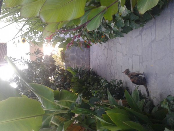 VILLA POSEIDON — фотографија 2