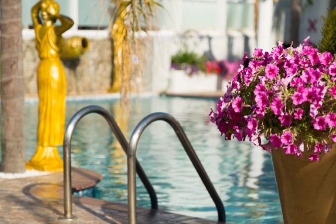 Paradice Hotel — снимка 5