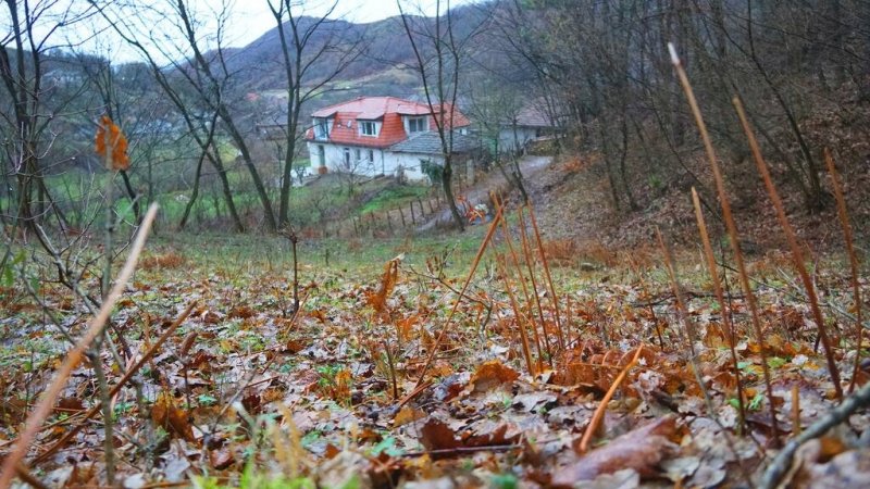 Villa Perule — фотографија 4