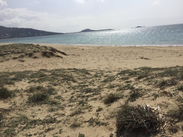 Naxos plaka Bay Villa with Sea View — снимка 1