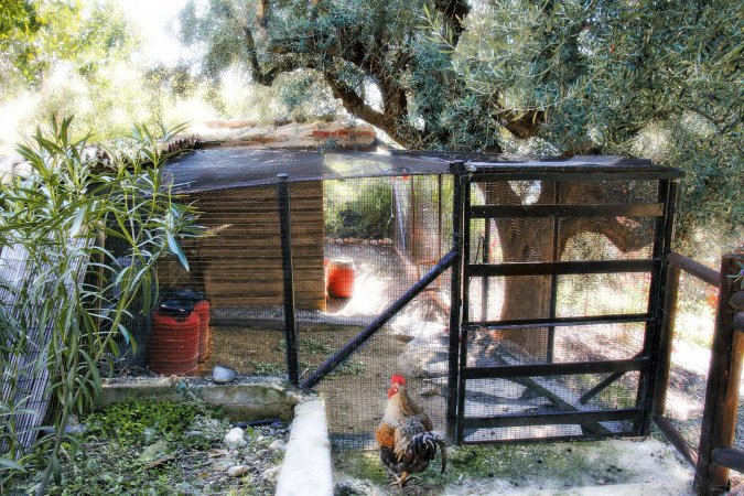 Ampelos Estate - The Studio — fotoğraf 6