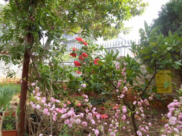 Dream vacations in apartment A1 villa MaVeRo 150 m fare from the beach — фотографија 5