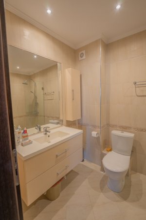 Оазис Луксозен Апартамент C33 — снимка 3