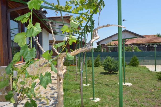 Villa Nelina — foto 4