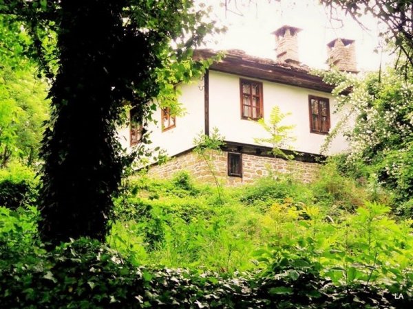 The house of the artist Gabriel Vichev-Kalmi — фотографија 3