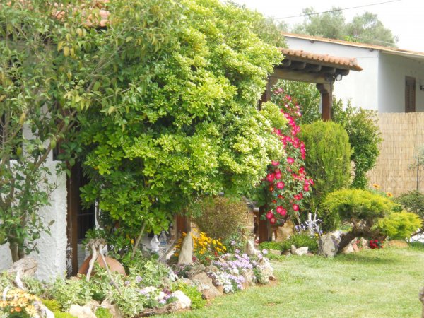 Efi's cozy house Nea Plagia — снимка 2