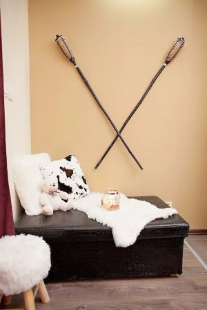 Snow Fox Secret Retreats Cozy Apartment — foto 5