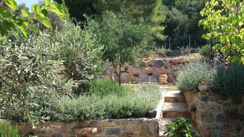 Rent a villa in Evia Island Greece with private pool only 99km from Athens sleeps 7prs. — фотографија 3
