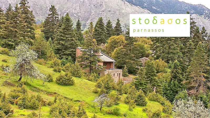 stodasos — снимка 1