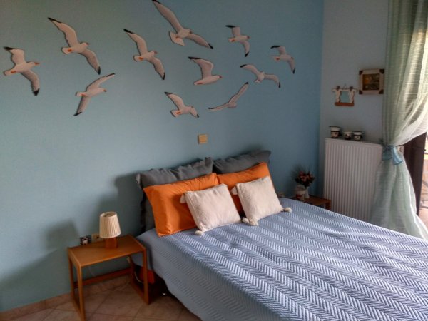 Room of the seagulls — снимка 3