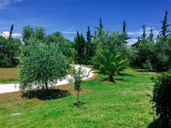 My Thassian Villa — снимка 2