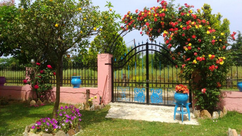 Villa Mitselo — снимка 3