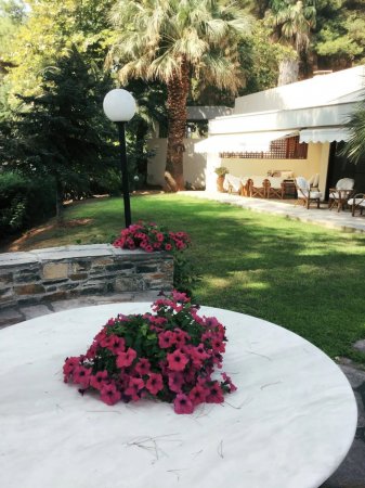 Sani Villa Citrine with shared pool (Sani Villa Citrine с общ басейн) — снимка 4