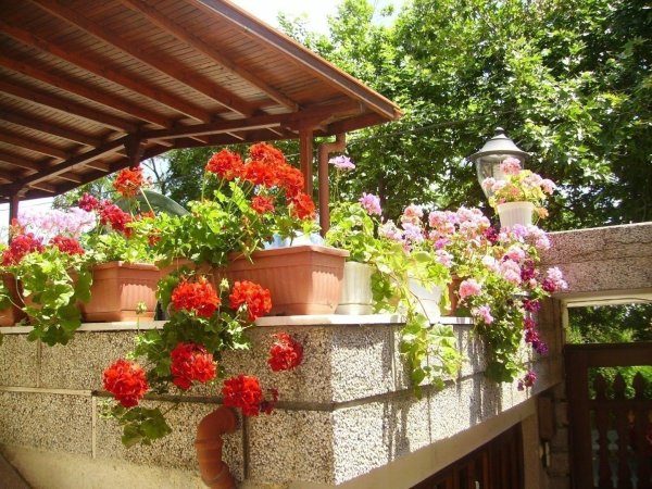 Apartment in Sozopol — фотографија 6