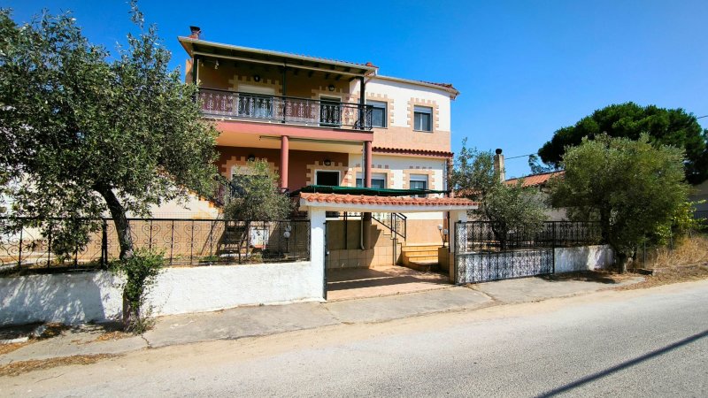 Loizos Ground - Summer House in Porto Molo Avdira — foto 5